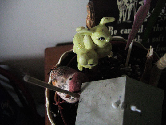 photograph titled "Wealth of the Poorest Bird"