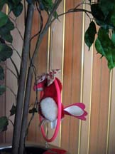 image link to photo entitled WITH SWEET DERISION