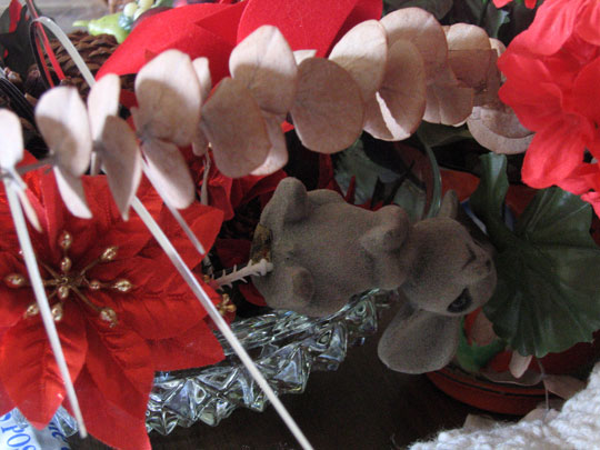 photograph titled "And Other Little Details"