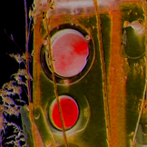 image link to photo entitled Metallic Parthenon