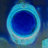 image link to photo entitled Cave of Cerberus