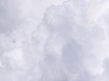 link to fresh transfigurings